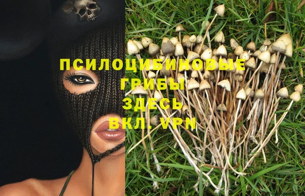 МДМА Михайлов