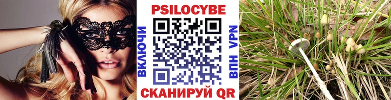 Купить  Лихославль  Галлюциногенные грибы мицелий 